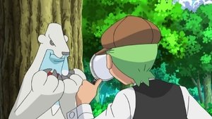 Pokémon Případ zmizelého Cubchooa