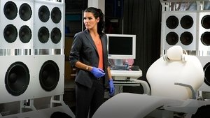 Rizzoli & Isles: Vraždy na pitevně 14. epizoda