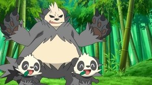 Pokémon Bambusový prales