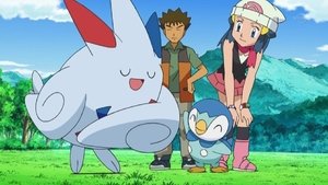 Pokémon Elegance především