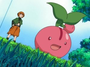 Pokémon Travní zvěřinec
