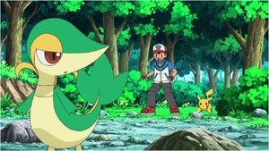 Pokémon Snivy si hraje na nedostupného