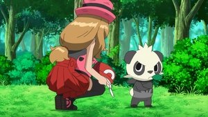 Pokémon Sen pokémonové umělkyně