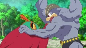 Pokémon Lesní šampion