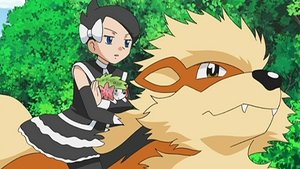 Pokémon Pokémonový strážce a záchrana Heatrana
