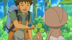 Pokémon Nechte to na Brockovi