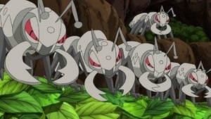 Pokémon Zápas se zloději listů