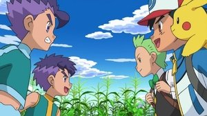 Pokémon Bratrský párový zápas ve vzduchu a na zemi