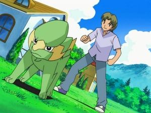 Pokémon Ve společnosti Electrika