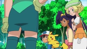 Pokémon Klub-Exploze začíná