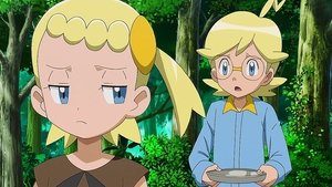 Pokémon Sourozenecké soupeření