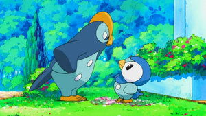 Pokémon Předsoutěžní chichotání