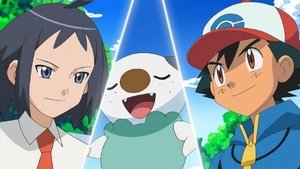 Pokémon Ve městě je nový tréner stadionu