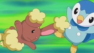 Pokémon Všichni se točí kolem Buneary