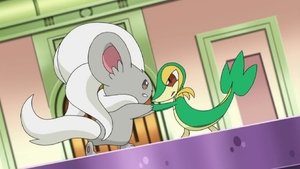 Pokémon Podivuhodný zápas za hrdost a prestiž!