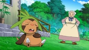 Pokémon Chuť do zápasu