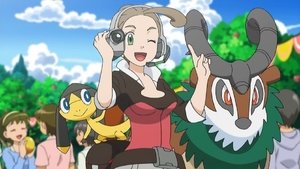 Pokémon Novinářka z jiné oblasti