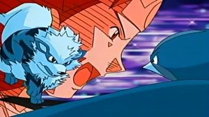 Pokémon 8. epizoda