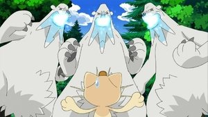 Pokémon Spor horských Bearticů!
