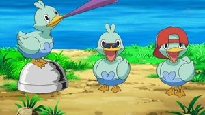 Pokémon Tanec s Ducklettím Triem