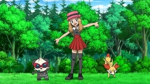 Pokémon Cesty k partnerskému představení