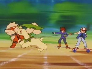 Pokémon Extrémní pokémoni