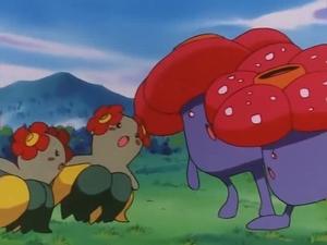 Pokémon Odkud vane vítr