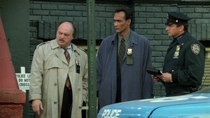 Policie New York 10. epizoda