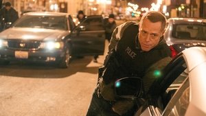Policie Chicago Holky, zbraně a automaty