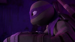 Želvy Ninja Invaze (2)