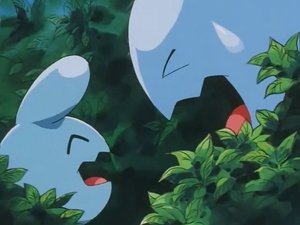 Pokémon Čí je to Wynaut?
