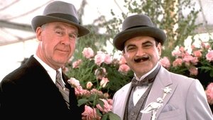 Hercule Poirot A co tvoje zahrádka?