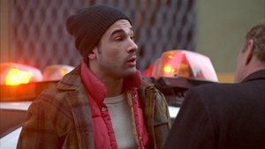 Policie New York 13. epizoda