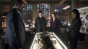 Flash Kdo je Harrison Wells?