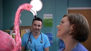 Holby City 27. epizoda
