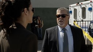 Rizzoli & Isles: Vraždy na pitevně 4. epizoda
