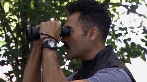 El Señor de los Cielos 39. epizoda