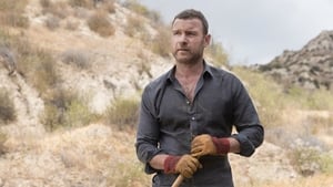 Ray Donovan Tulipán