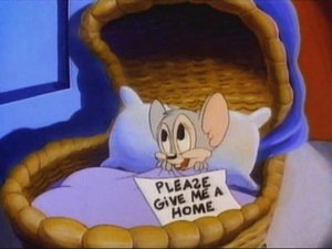 Tiny Toon Adventures 11. epizoda