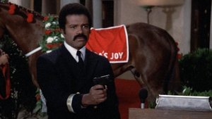 The Love Boat 20. epizoda