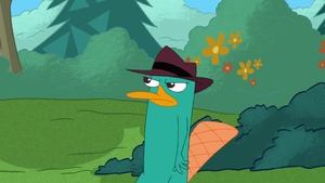 Phineas a Ferb Ani nemrkni