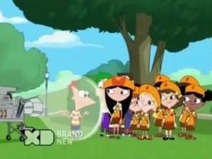 Phineas a Ferb Bublinkáři