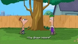 Phineas a Ferb Divočina pod střechou