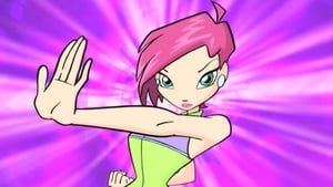 Winx Club Víc než střední škola