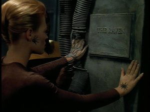 Star Trek: Voyager Havran
