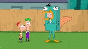 Phineas a Ferb Perry snáší vejce