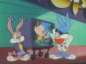 Tiny Toon Adventures 48. epizoda