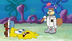 SpongeBob v kalhotách Týden před hybernací