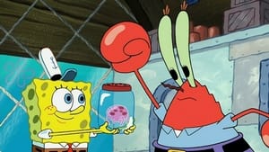 SpongeBob v kalhotách Lovec medůz