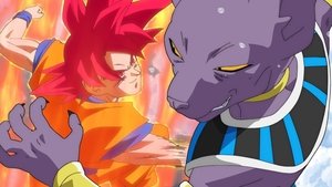 Dragon Ball Super 11. epizoda